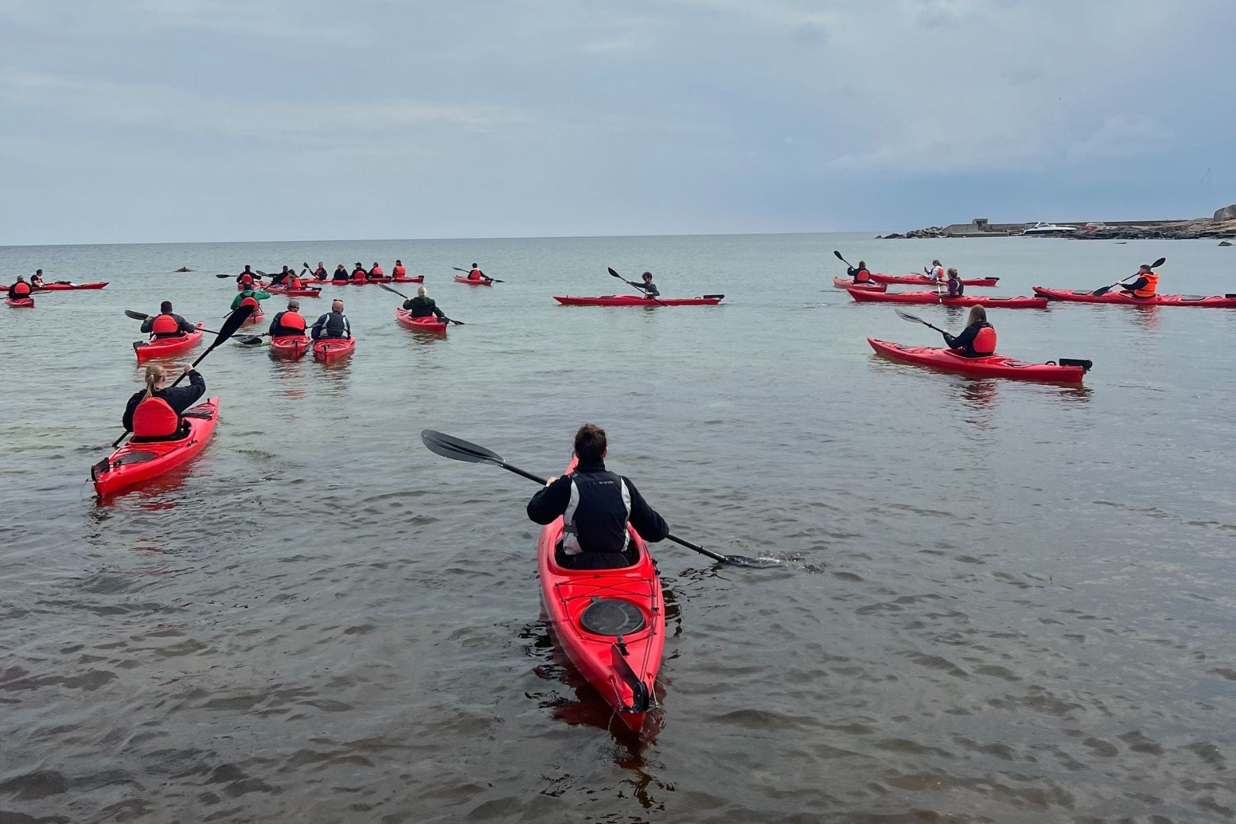 Aduro medarbejdere i kajak på havet